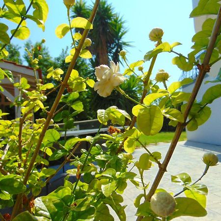 Villa Giovanni Faliraki Esterno foto